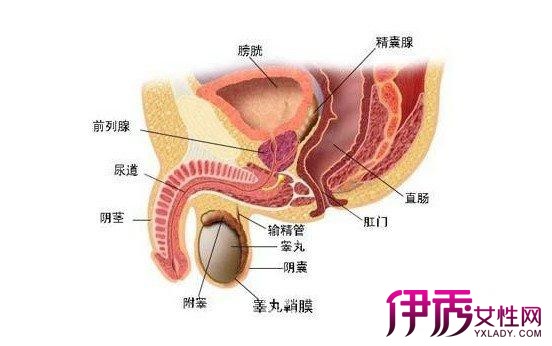 nieruihai 第2頁(yè)