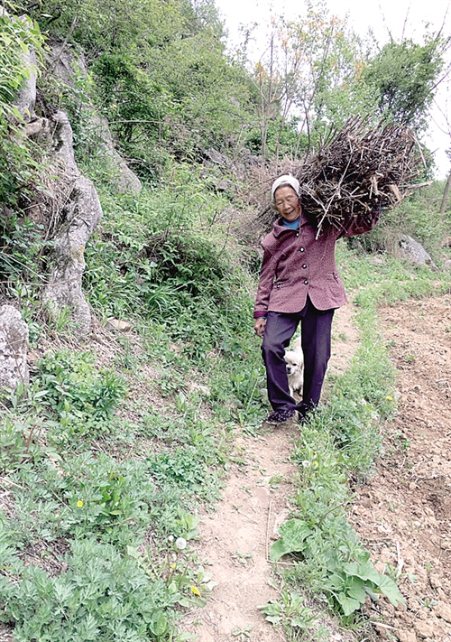 農(nóng)村中老年人征婚，尋找幸福晚年的新起點(diǎn)，農(nóng)村中老年征婚，晚年幸福的起點(diǎn)之路