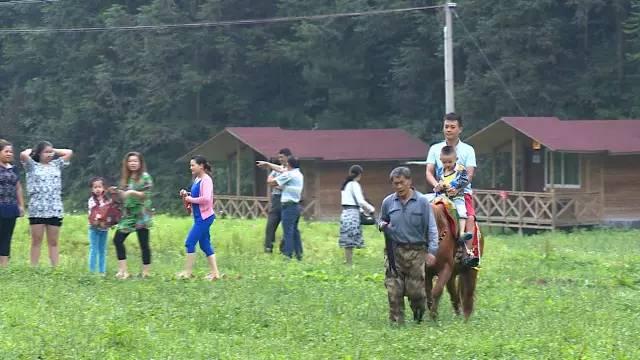 公益相親平臺，搭建愛的橋梁，助力幸福人生，公益相親平臺，搭建愛的橋梁，共創(chuàng)幸福人生之旅