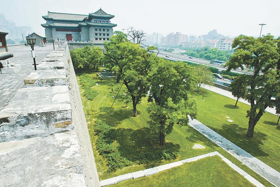 北京哪個(gè)公園最值得去，探尋城市綠肺的奧秘，探尋北京城市綠肺，哪個(gè)公園最值得一游？