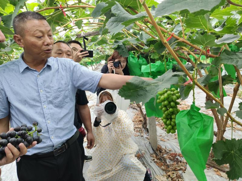 上海正規(guī)的相親網(wǎng)，連接真摯心靈的橋梁，上海正規(guī)相親網(wǎng)，真摯心靈的連接橋梁