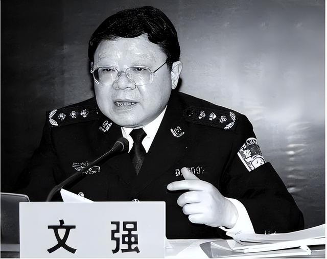 文強被誰下令抓捕的，一次司法公正的行動，文強抓捕行動，一次司法公正的勝利