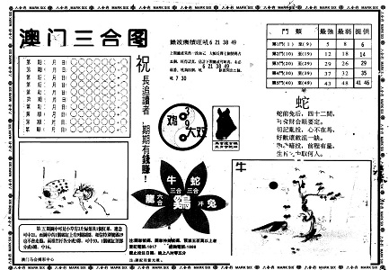 王中王與肖碼中的特殊一，探索與解析，王中王與肖碼中的特殊一，深度探索與解析