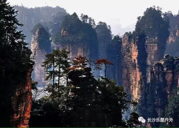 張家界景區(qū)內(nèi)住宿攻略，張家界景區(qū)內(nèi)住宿指南