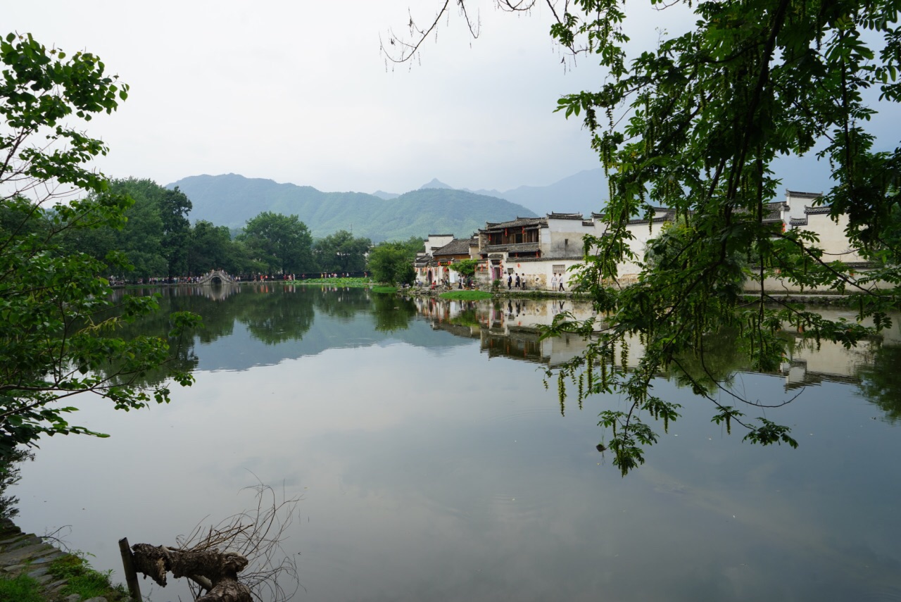 宏村風(fēng)景區(qū)，古韻猶存的徽派建筑與自然風(fēng)光交融的畫卷，宏村風(fēng)景區(qū)，古徽建筑與自然風(fēng)光的和諧交融畫卷