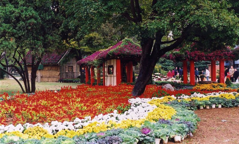 中山公園，歷史與自然的美好交織，中山公園，歷史與自然之美的交融勝地