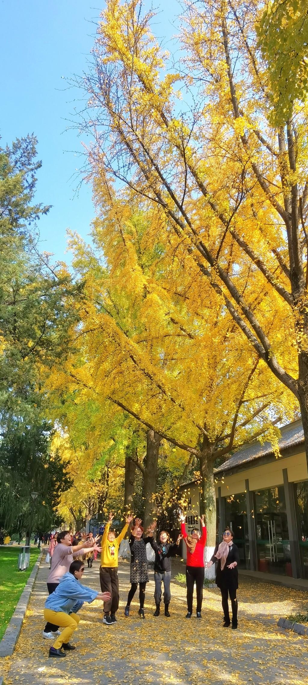 玄武湖公園，古都南京的璀璨綠寶石，古都南京的綠寶石，玄武湖公園