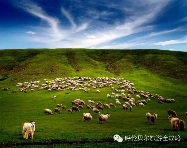 呼倫貝爾草原自由行旅游攻略，呼倫貝爾草原自由行全攻略，暢游草原之旅