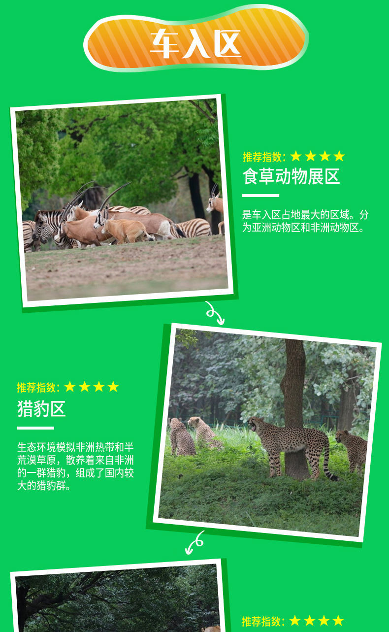 上海野生動物園票價詳解，價格、優(yōu)惠及購票攻略，上海野生動物園票價詳解，價格、優(yōu)惠與購票攻略全攻略