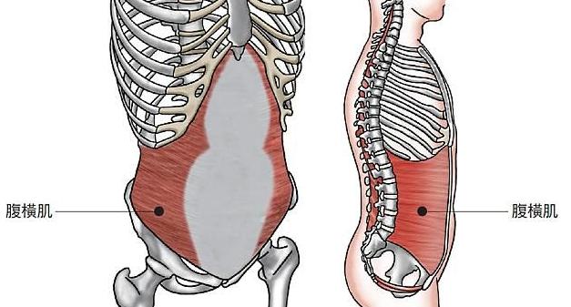 減腰腹贅肉的8個運動，減腰腹贅肉秘訣，8大運動助你告別贅肉困擾