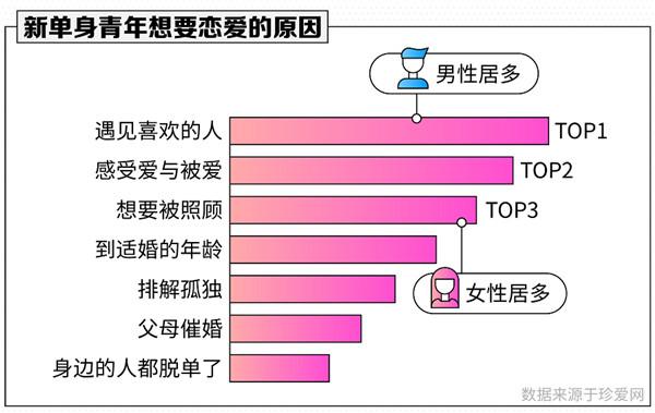 珍愛網(wǎng)最新版本下載安裝，探索與體驗，珍愛網(wǎng)最新版本下載，探索與體驗之旅