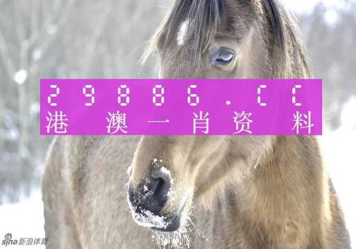 澳門(mén)一肖一碼100精準(zhǔn)正版詩(shī)象探究，澳門(mén)一肖一碼精準(zhǔn)正版詩(shī)象深度探究