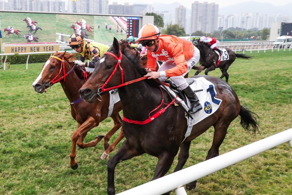 香港特馬盛宴，期待今晚2025年的精彩瞬間，香港特馬盛宴，精彩瞬間即將上演，期待今晚2025年之夜