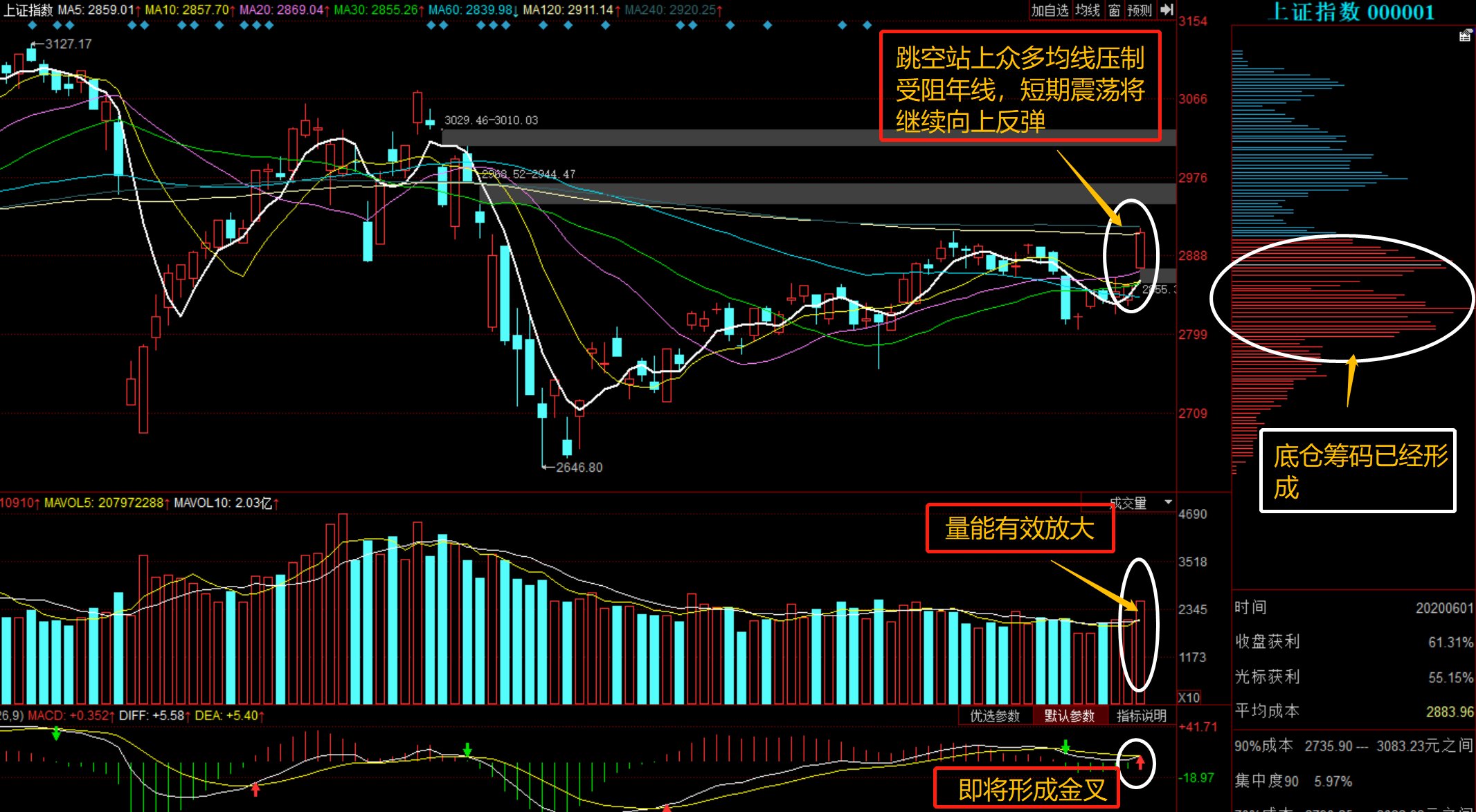 深度解析，300436股票行情及市場(chǎng)走勢(shì)，深度解析，股票行情與市場(chǎng)走勢(shì)分析——以300436為例