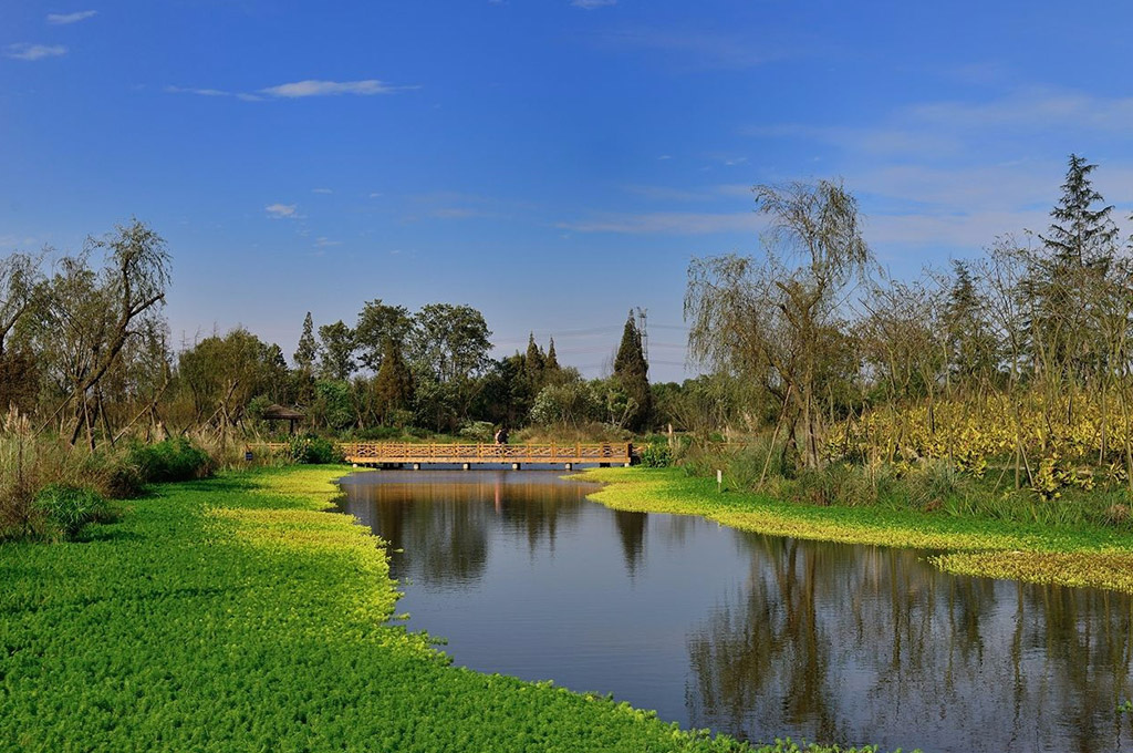 濕地公園景點(diǎn)介紹，濕地公園景點(diǎn)探秘，自然美景一覽無余