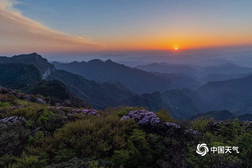 重慶金佛山最佳旅游月份解析，重慶金佛山最佳旅游月份攻略解析