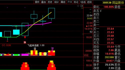 股票購(gòu)買(mǎi)策略探討