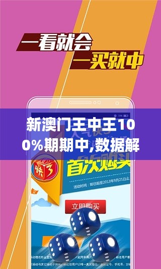 新澳門王中王期期中的奧秘與探索，澳門王中王期期奧秘揭秘與深度探索