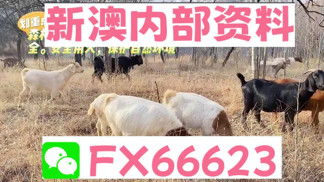 新澳2025今晚開獎(jiǎng)資料四不像，深度解析與預(yù)測(cè)分析，新澳2025今晚開獎(jiǎng)資料解析與預(yù)測(cè)，四不像現(xiàn)象深度探討